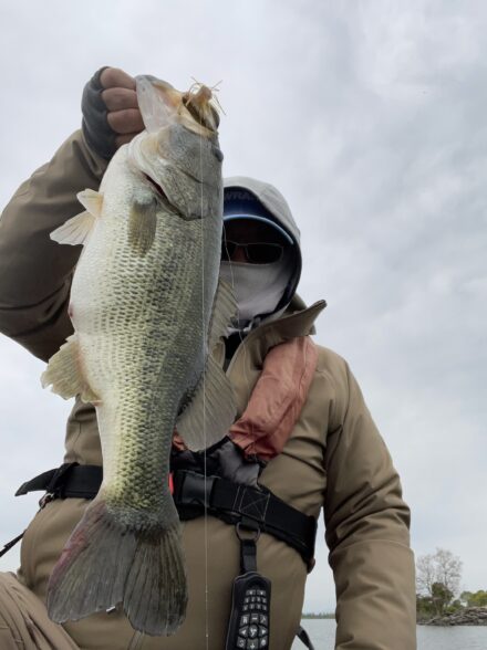 琵琶湖  半プリメス狙い