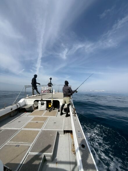 高田釣行便 志摩沖キハダキャスティング