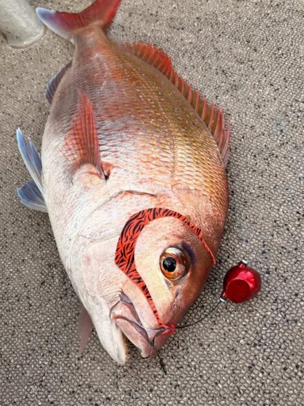 シーマンさんでディープタイラバ