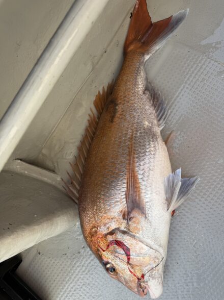 竹宝丸さんでディープタイラバ