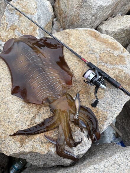 ようやく僕にも春がきた