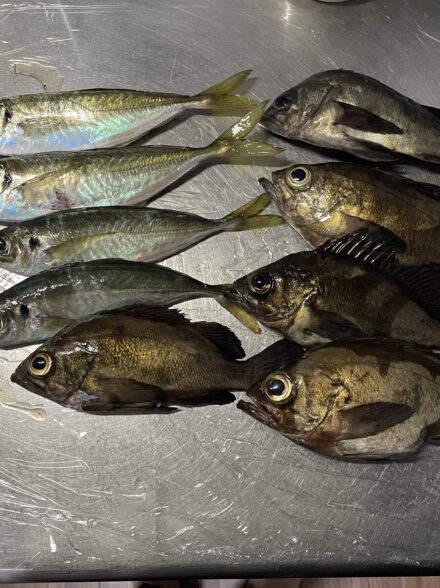 ライトゲーム三昧