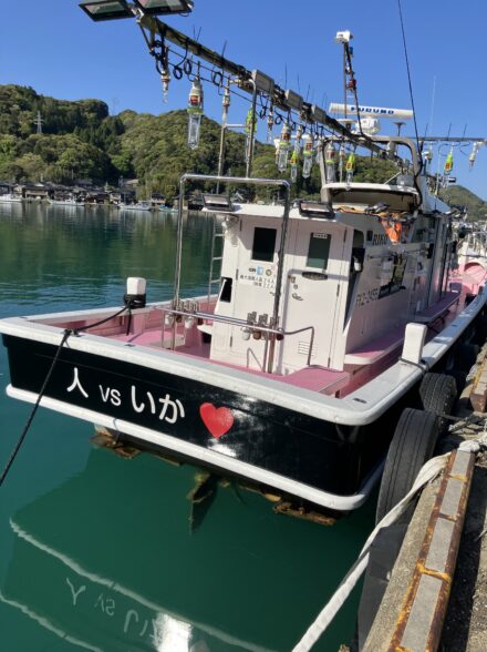 ヤリイカ？マイカ？