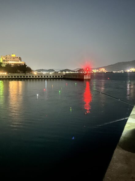 春のアジサビキ調査