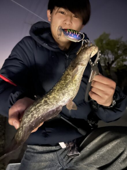 初出勤初ナマズゲーム