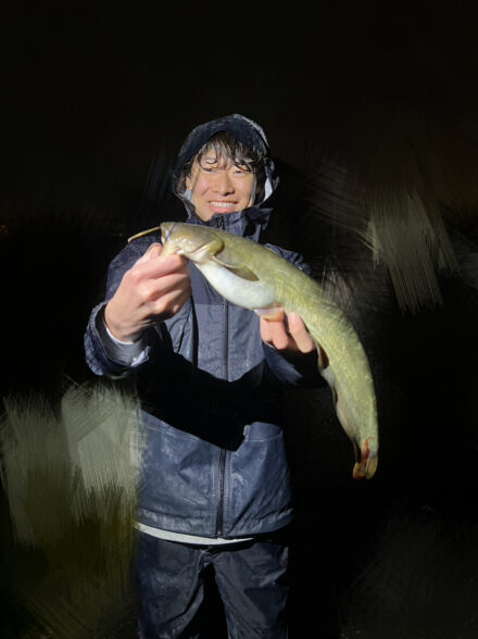 リベンジナマズゲーム！