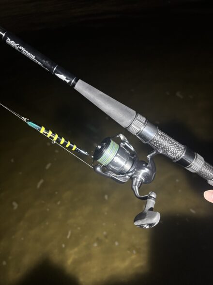 バチ抜け調査②