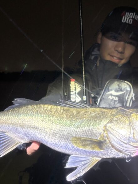 バチ抜け調査③