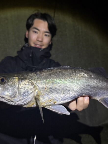 バチ抜け調査⑤