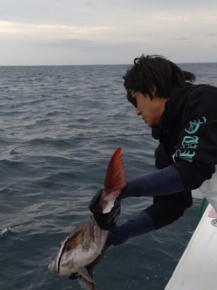 西伊豆・土肥沖の乗っ込みマダイ