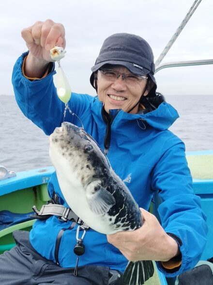 東京湾のトラフグ、リベンジなるか！？