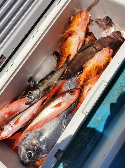 萬栄丸　イシナギ&根魚③