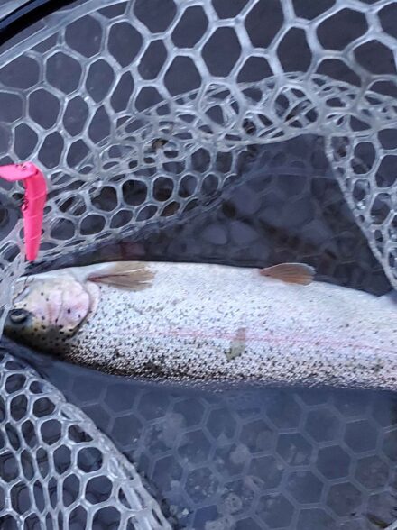 すそのフィッシングパーク釣査隊 忍び寄る連休の陰編