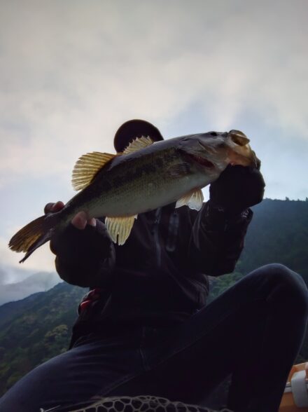 リベンジ釣行七色ダム5月中旬