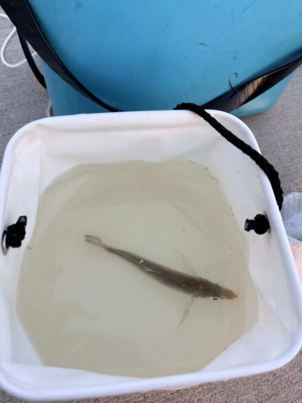 初の釣行！