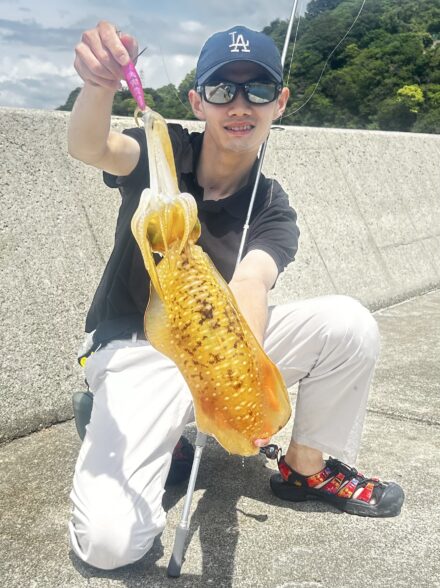 春イカを求めて和歌山エギングへ🎣🦑