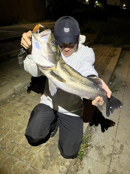 隅田川！シーバス釣行！