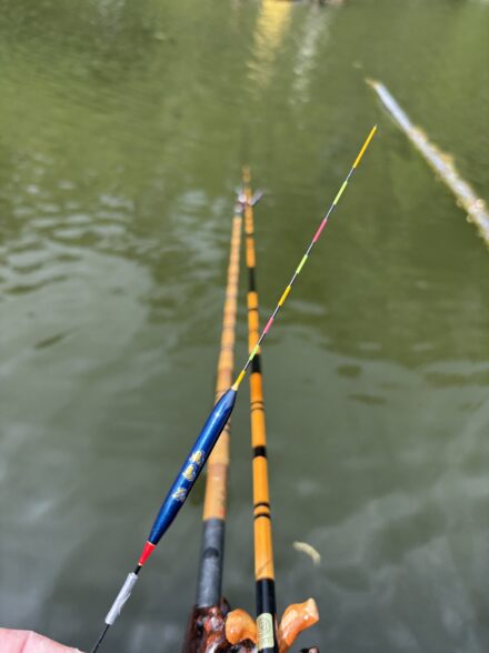 出勤前に清遊湖にて3時間だけ両ダンゴ！