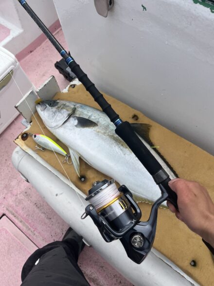 外房ヒラマサ