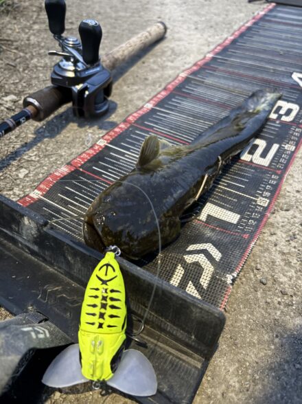 インレットがアツい