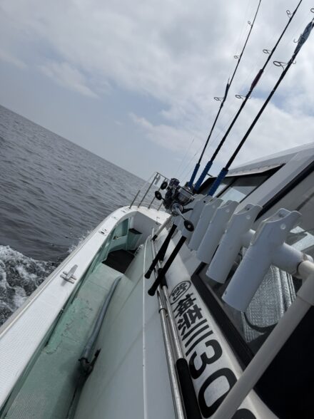 相模湾キハダ調査