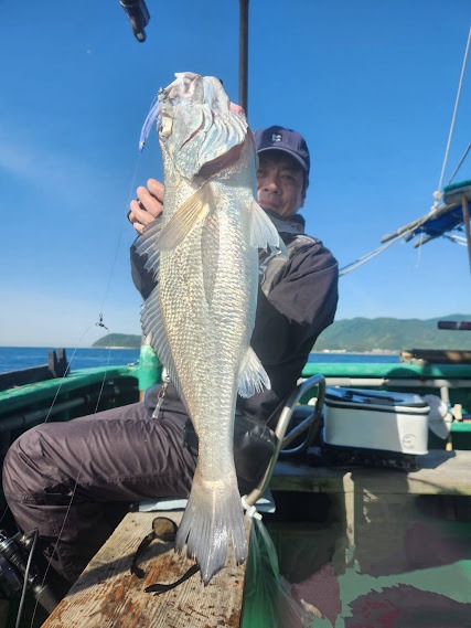 クログチ仕掛けテスト2