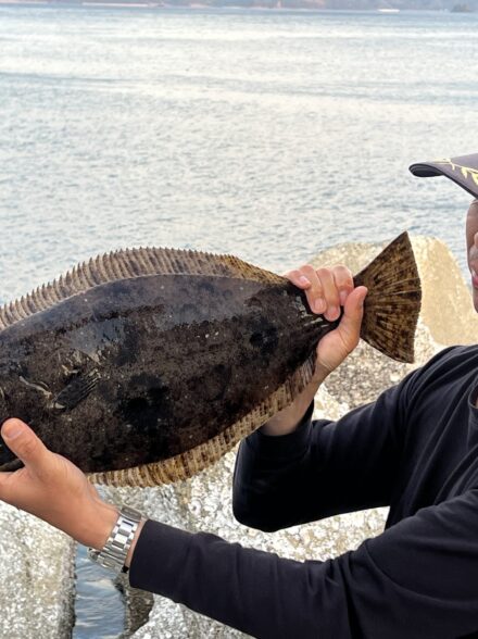 アジの泳がせ釣り