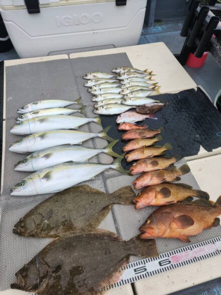 のませ釣り、鬼アジ釣りin大阪淡輪サウスさん