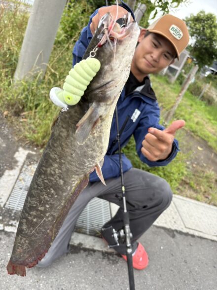 キャタピーソフト実釣