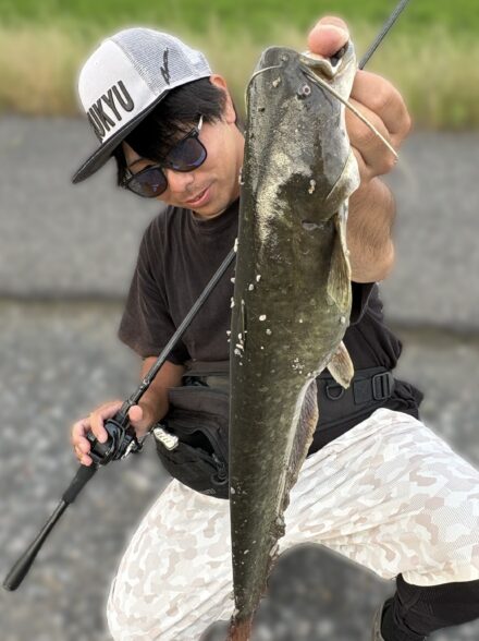 デイナマ