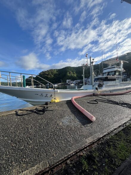 高田釣行便 三重キハダ(一二三丸)