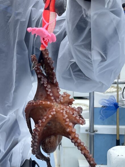 初挑戦の船タコ釣行！クラボーイカスタムが大活躍！