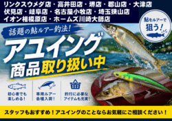 アユイング商品取り扱い中！