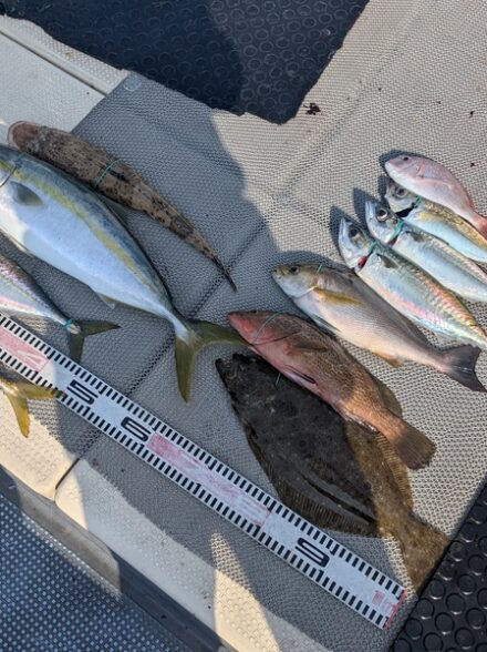 サウスさんでノマセ&落とし込み&アジ釣り