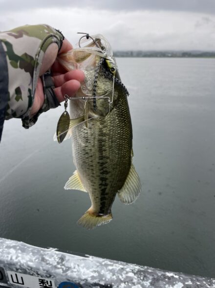 バスプロガイド体験記🎣✨️