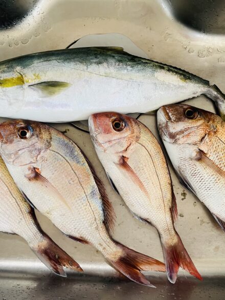 海竜さんでタイラバ釣行