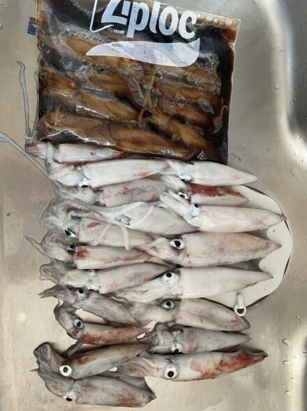 イカメタル釣行へ!!
