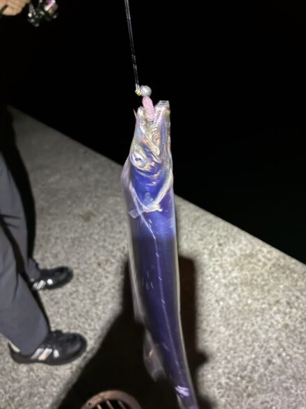 遂に現れた刀