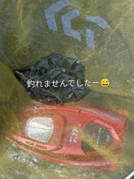灼熱の美山川へ♪