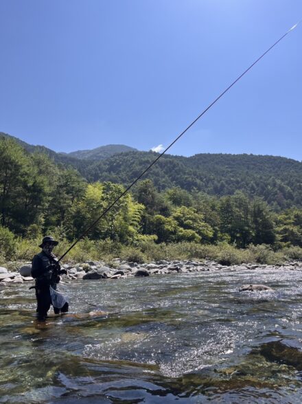 人も魚も夏バテ気味？