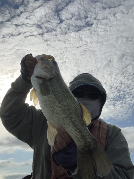 ７月3日琵琶湖釣行