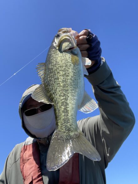 7月10日琵琶湖釣行