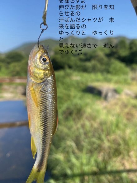 チャビングはじめました vol.2