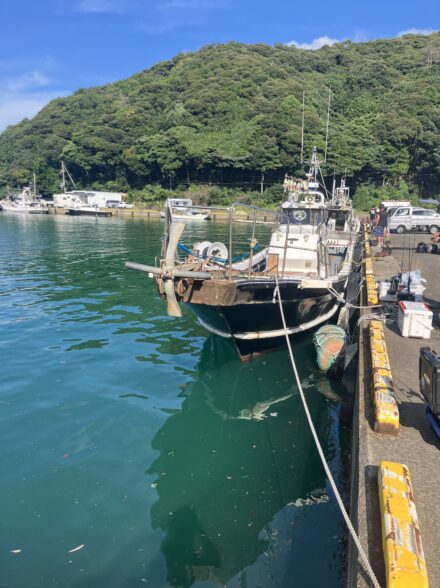 BBQからのイカメタル