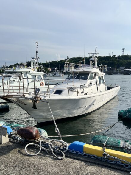 海佐知丸のイカメタル
