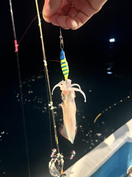 代々丸イカメタル釣行
