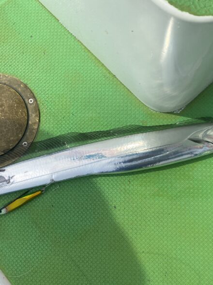 タチウオジギングin渡辺釣船店
