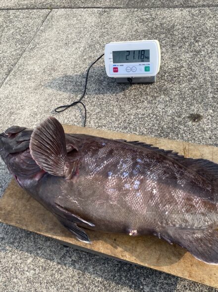 伊豆南沖ジギングin森竜丸