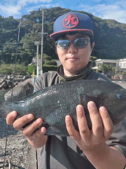 本州最南端！串本大島でペレット＆アオサのグレ釣り