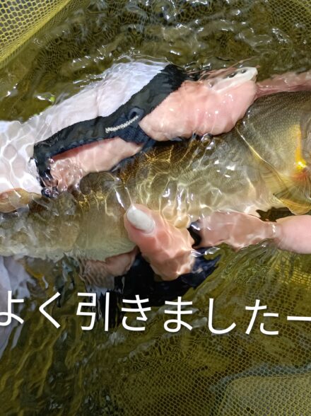 初めての益田川本流へ